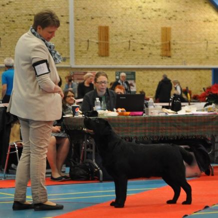 Lab Fairytale's Fair Play