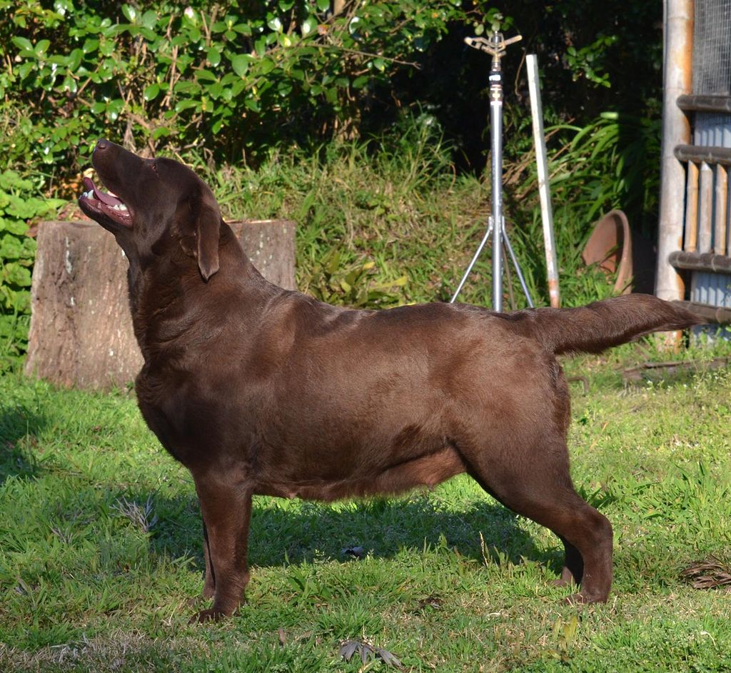 Lacote Maddam Petra