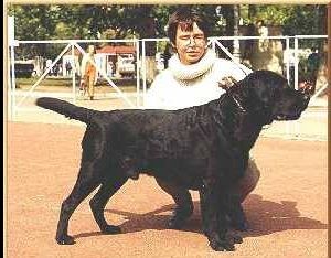 Sin Nait Porsh Bargi