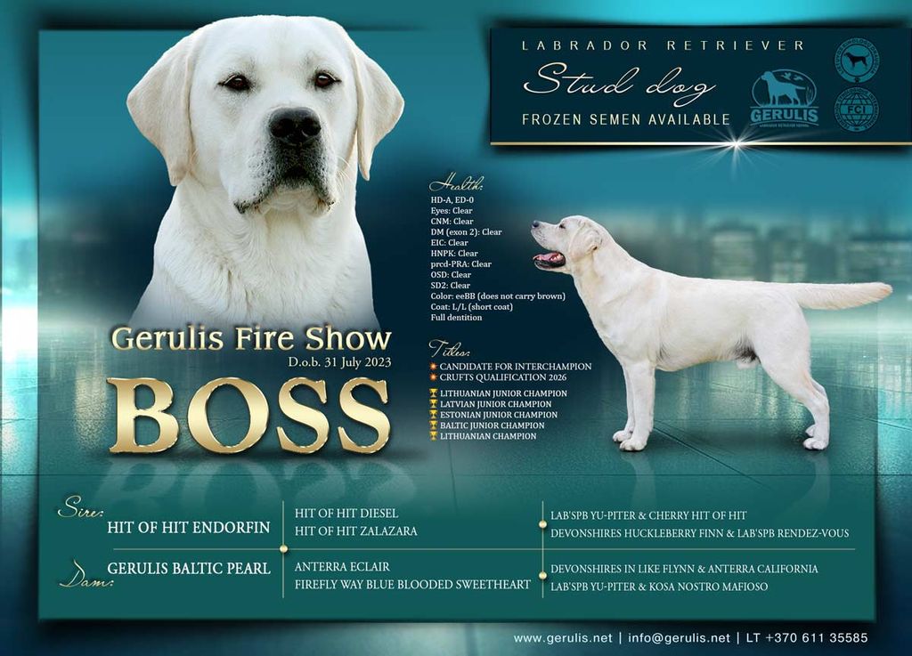 Gerulis Fire Show